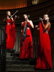 Delight Show на свадьбу 1