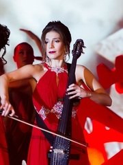 Delight Show на свадьбу 1