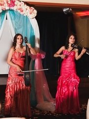 Delight Show на свадьбу 1