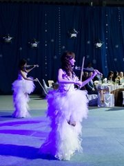 Delight Show на свадьбу 1