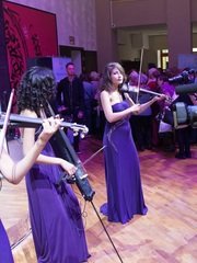 Delight Show на свадьбу 1