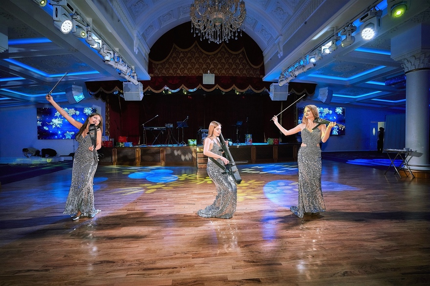 Delight Show на свадьбу 5