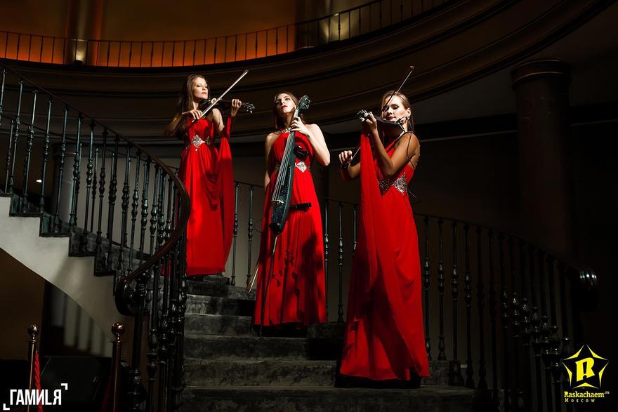 Delight Show на свадьбу 11