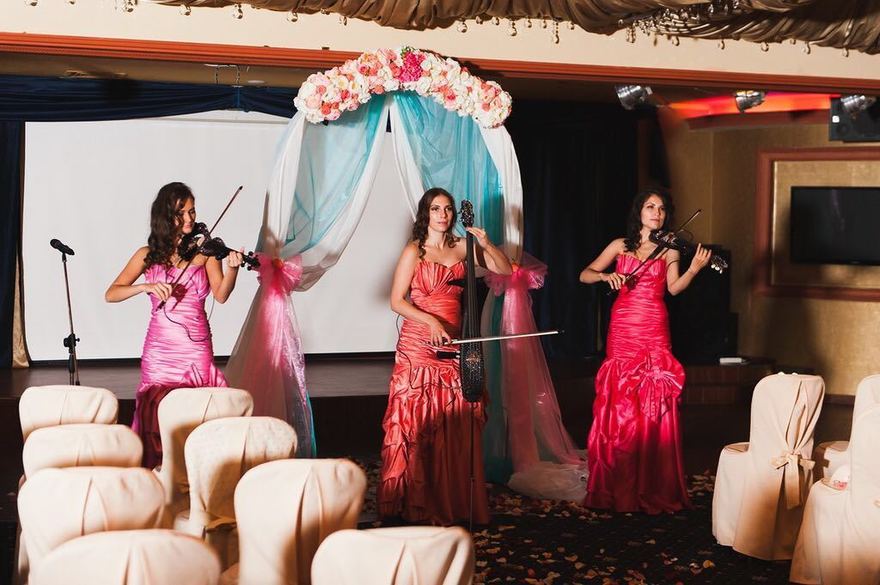 Delight Show на свадьбу 16