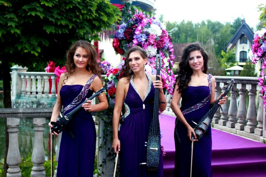 Delight Show на свадьбу 17