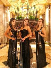 Delight Show на свадьбу 1