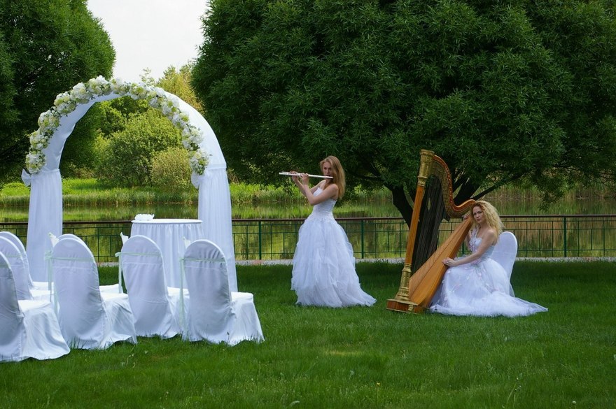 Arfa Project на свадьбу 3