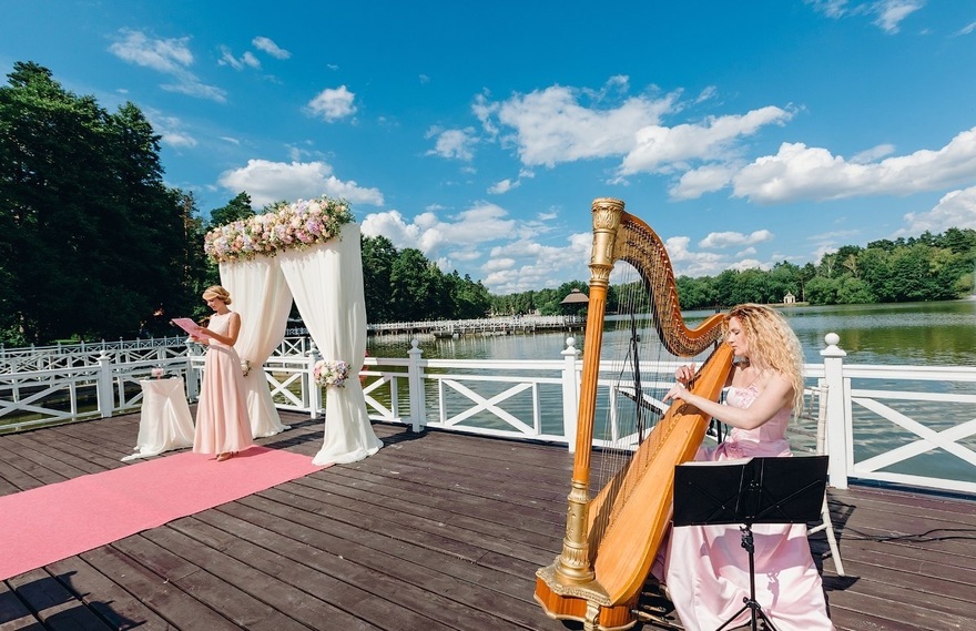 Arfa Project на свадьбу 6