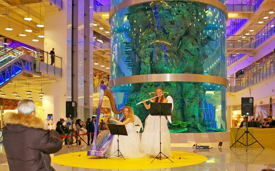 Arfa Project на свадьбу 11