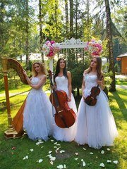 Arfa Project на свадьбу 1