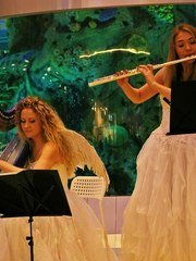 Arfa Project на свадьбу 1