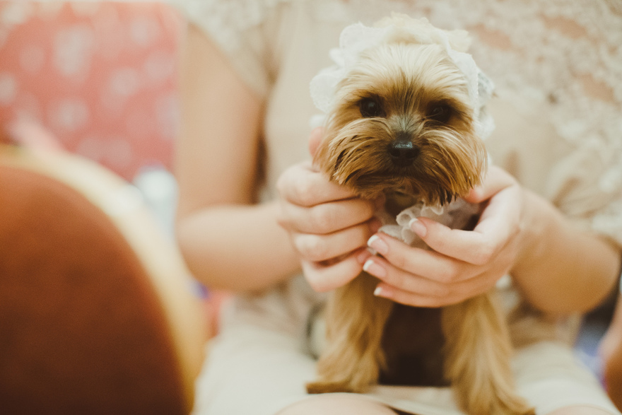 Отчеты с разных свадеб 9 от Исключительно свадебное агентство Family 9