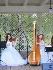 Arfa Project на свадьбу 1