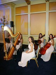 Arfa Project на свадьбу 1