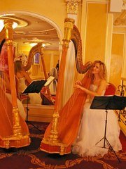 Arfa Project на свадьбу 1