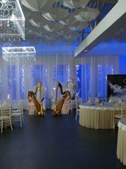 Arfa Project на свадьбу 1