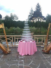 Arfa Project на свадьбу 1