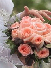 Видеоотчет со свадьбы 3 от  1