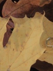 Видеоотчет со свадьбы Андрея и Анастасии от PerfectWed 1