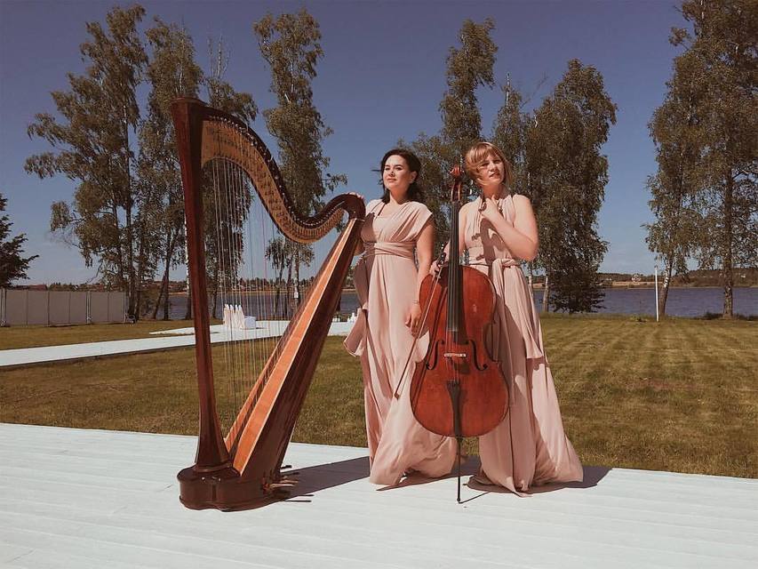 Арфистка Юлия Хамитова на свадьбу 5