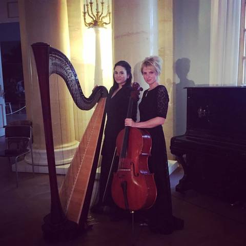 Арфистка Юлия Хамитова на свадьбу 7