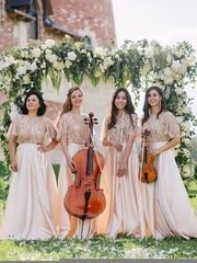 Арфистка Юлия Хамитова на свадьбу 2