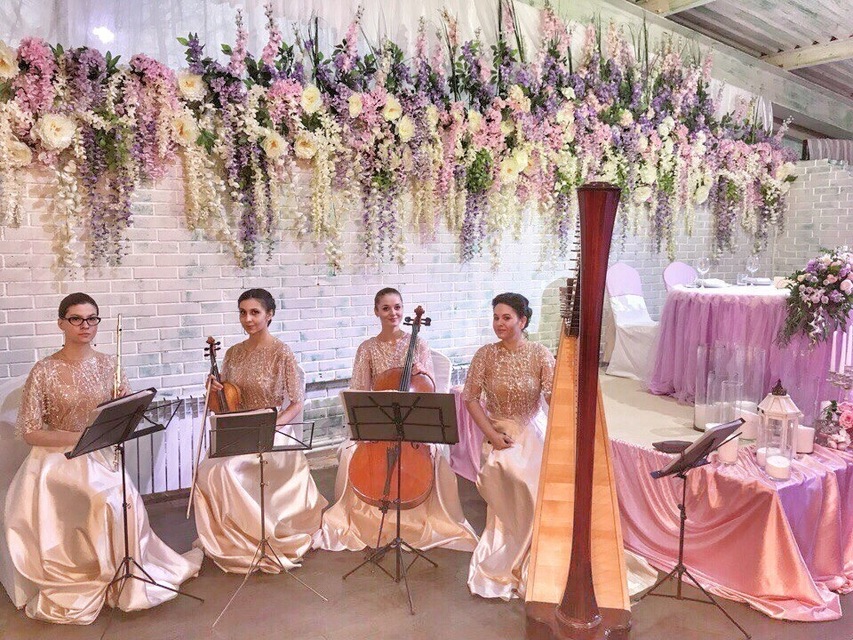 Арфистка Юлия Хамитова на свадьбу 5