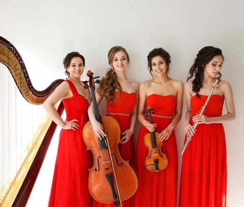 Арфистка Юлия Хамитова на свадьбу 6