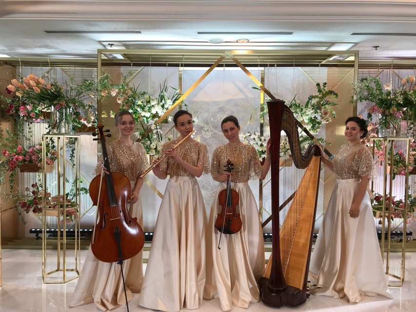 Арфистка Юлия Хамитова на свадьбу 8