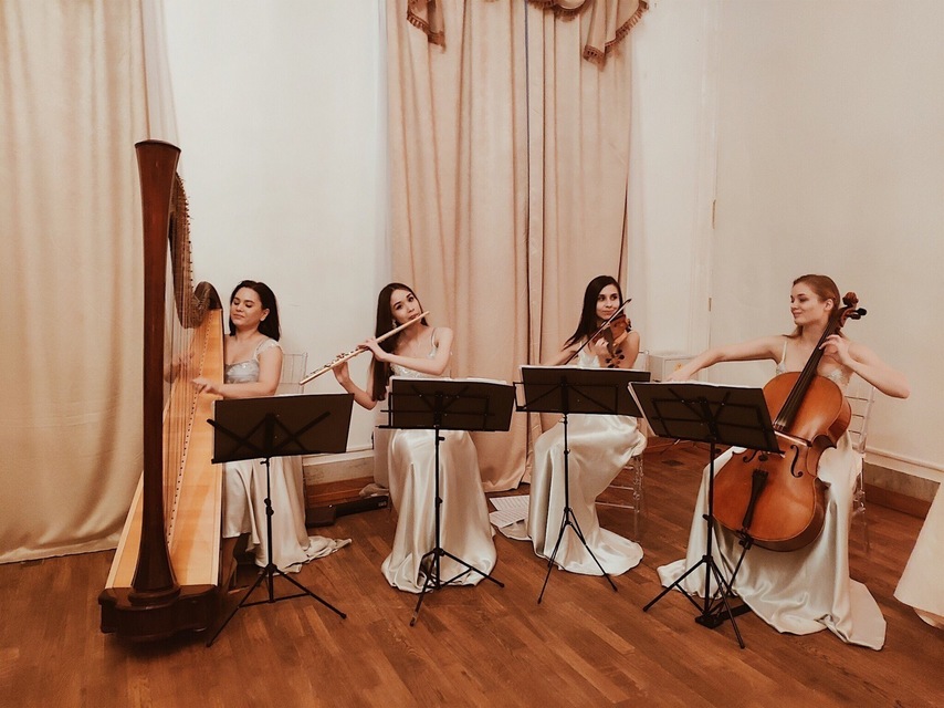 Арфистка Юлия Хамитова на свадьбу 10