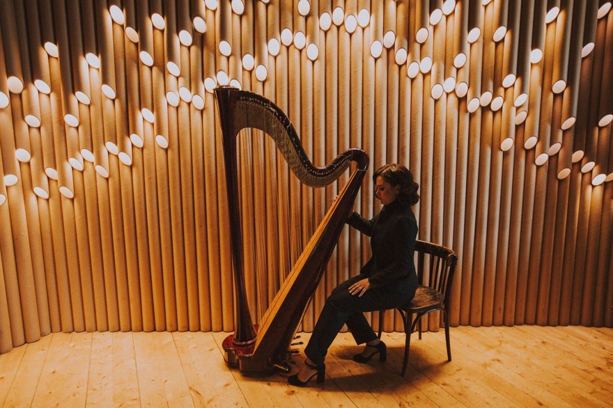 Арфистка Юлия Хамитова на свадьбу 7