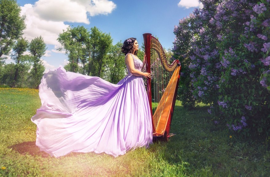 Арфистка Юлия Хамитова на свадьбу 9