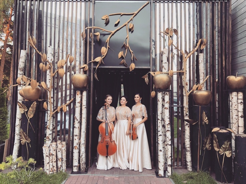 Арфистка Юлия Хамитова на свадьбу 3