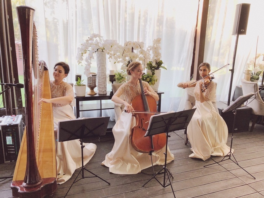 Арфистка Юлия Хамитова на свадьбу 4