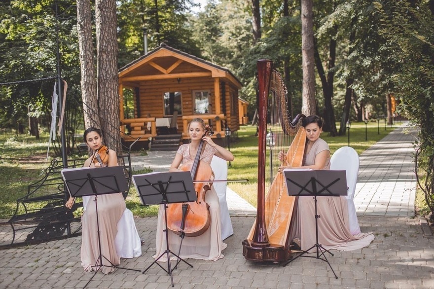 Арфистка Юлия Хамитова на свадьбу 5
