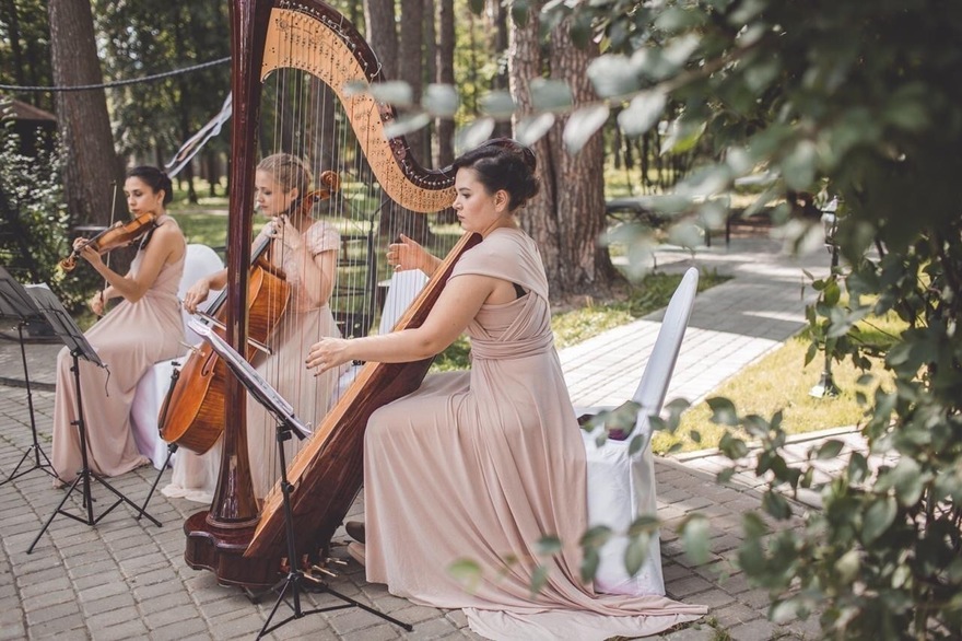 Арфистка Юлия Хамитова на свадьбу 6