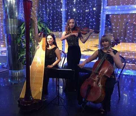 Арфистка Юлия Хамитова на свадьбу 8