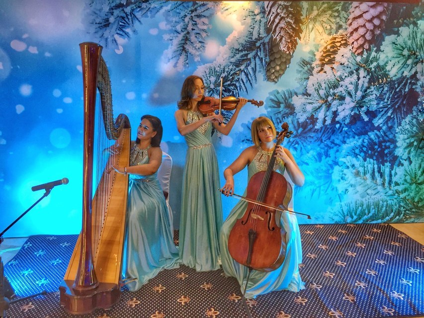Арфистка Юлия Хамитова на свадьбу 10