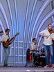 Monkey Folk PRODUCTION на свадьбу 6