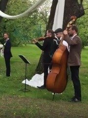  на свадьбу 1