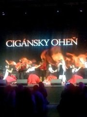 Цыганский ансамбль Русска рома на свадьбу 1