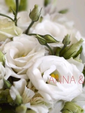 Видеоотчет со свадьбы Анны и Владимира от Тимур Гальянов 1