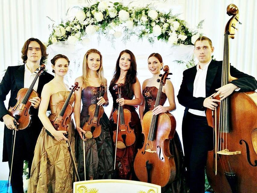 Violante orchestra на свадьбу 6