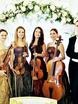 Violante orchestra на свадьбу 6