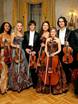 Violante orchestra на свадьбу 9