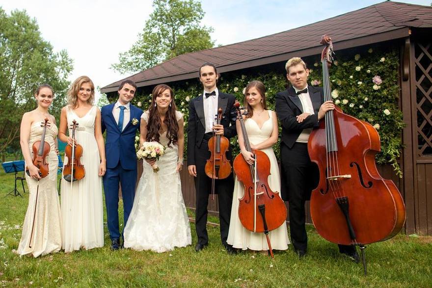 Violante orchestra на свадьбу 10
