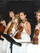 Violante orchestra на свадьбу 13