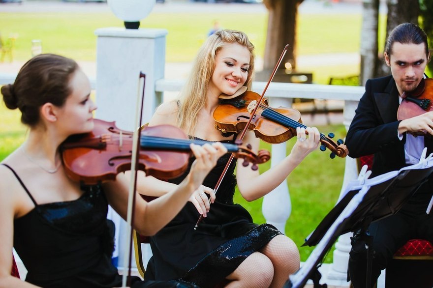 Violante orchestra на свадьбу 14