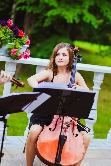 Violante orchestra на свадьбу 15