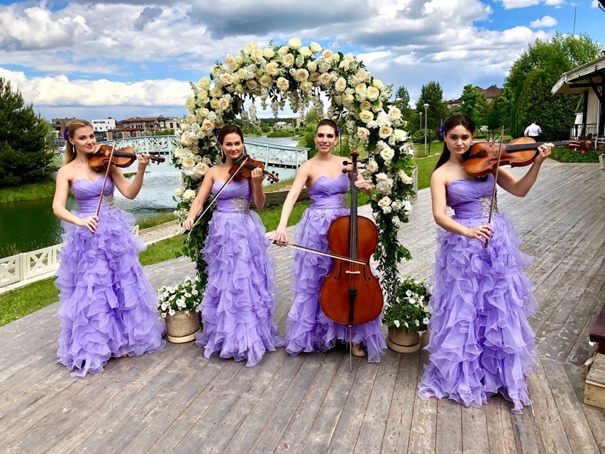 Violante orchestra на свадьбу 2